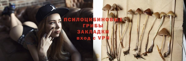 меф Осинники