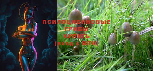 гашишное масло Алексеевка