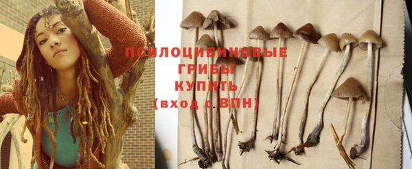 сатива Осташков